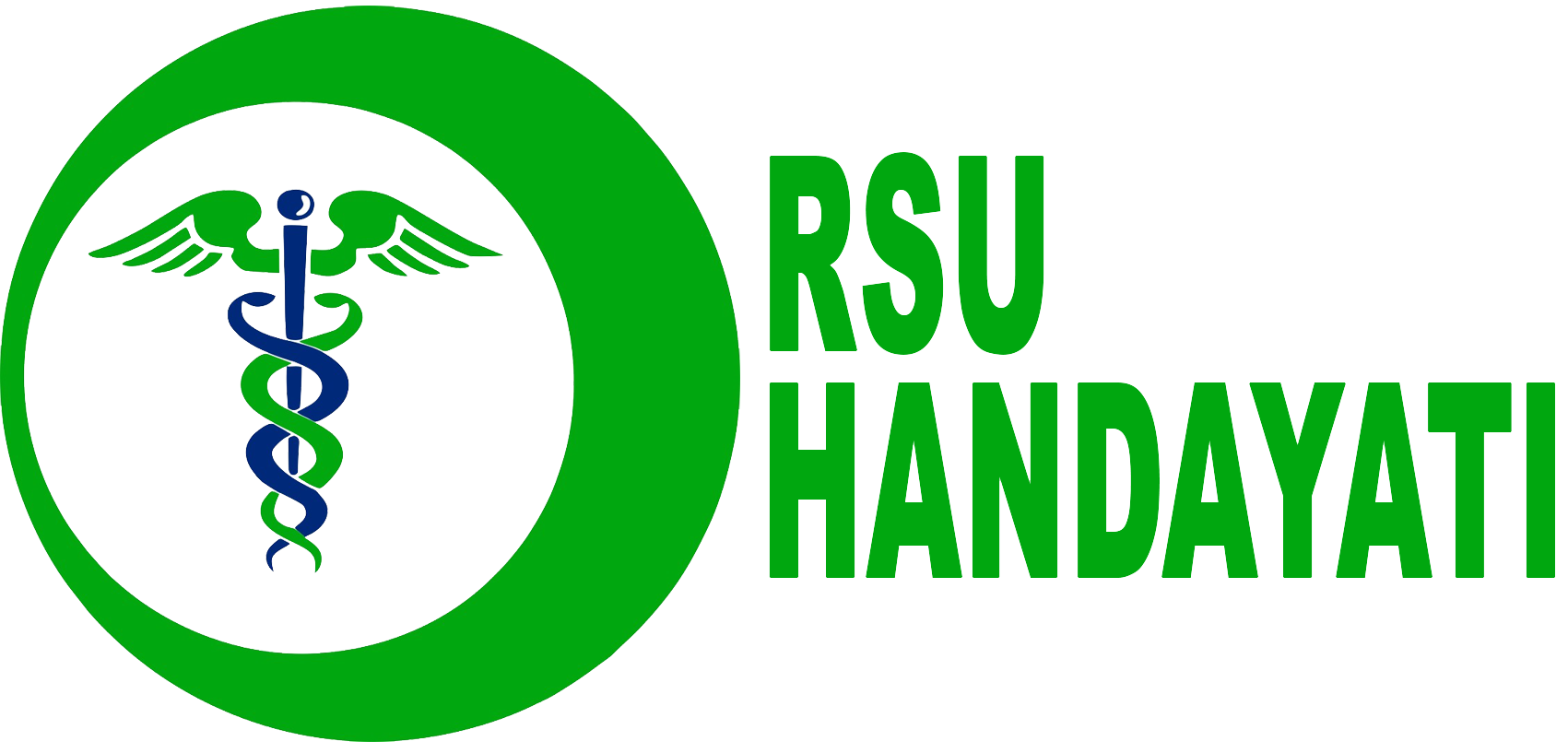 RSU Handayati Rantau